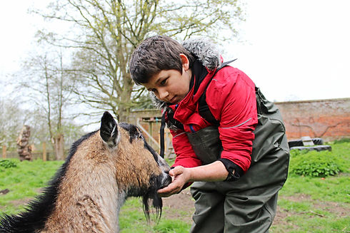 Alternative Education Provision | Ufton Court