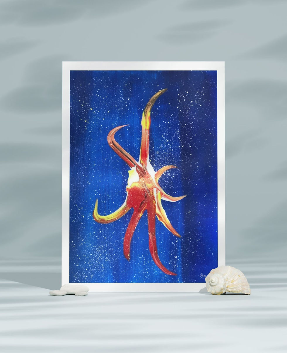 Abstract art prints, wall art, home décor, café decor, office art, hotel room art, original art, unique designs, local, NZ.