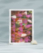 Abstract art prints, wall art, home décor, café decor, office art, hotel room art, original art, unique designs, local, NZ.