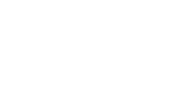 sbi holding.png