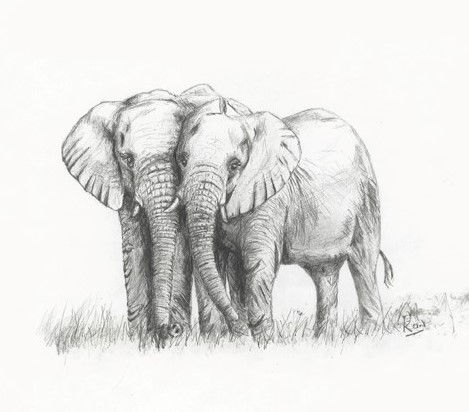 "Endless Love" elephant print