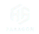 Paragon Consulting