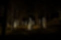 ghost-family-in-the-dark-forest-2022-10-10-19-28-41-utc.jpeg