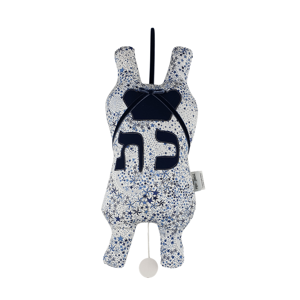 Thumbnail: Sefer Torah - Etoile Bleu