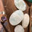 Thumbnail: Caribbean calcite palm stone 