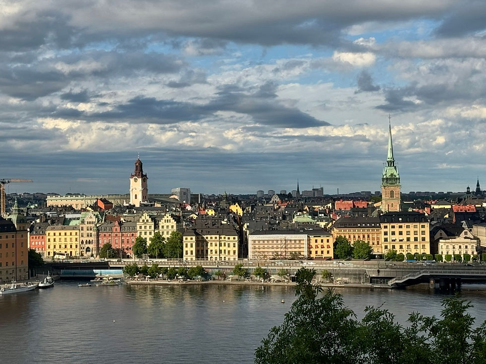 Stockholm skyline from across the river