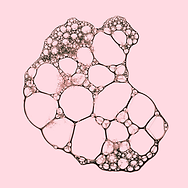 célula sencilla vertical - Sybila Gutierrez Poveda.png