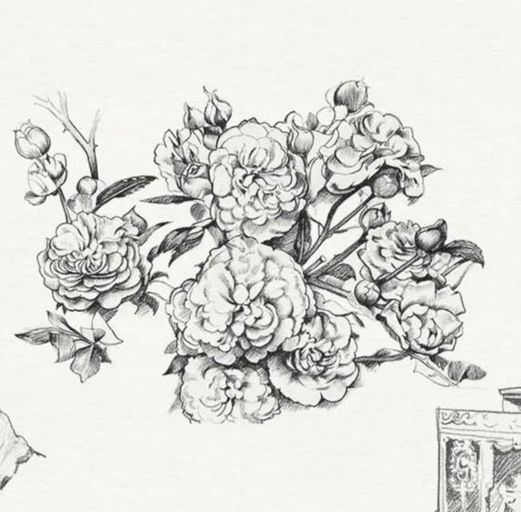 pencil drawing of roses