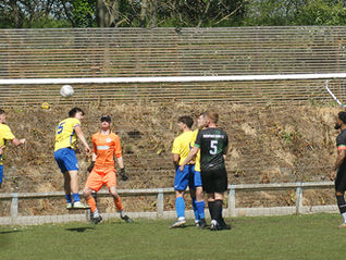 Signol Make Second Final in Memorable Season