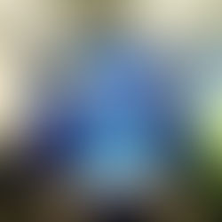 Training Seminar - Costa Rica