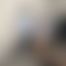 Summer Internship 2024 - Intern Journal Week #11