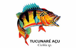 Tucunaré Açu