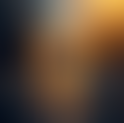 The Human Beehive: Building Brand Community That Sticks