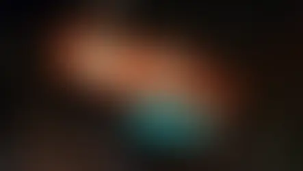 DINING EXPERIENCE: The Blue Bayou