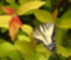 DSCN6449 (1)