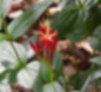 DSCN7557