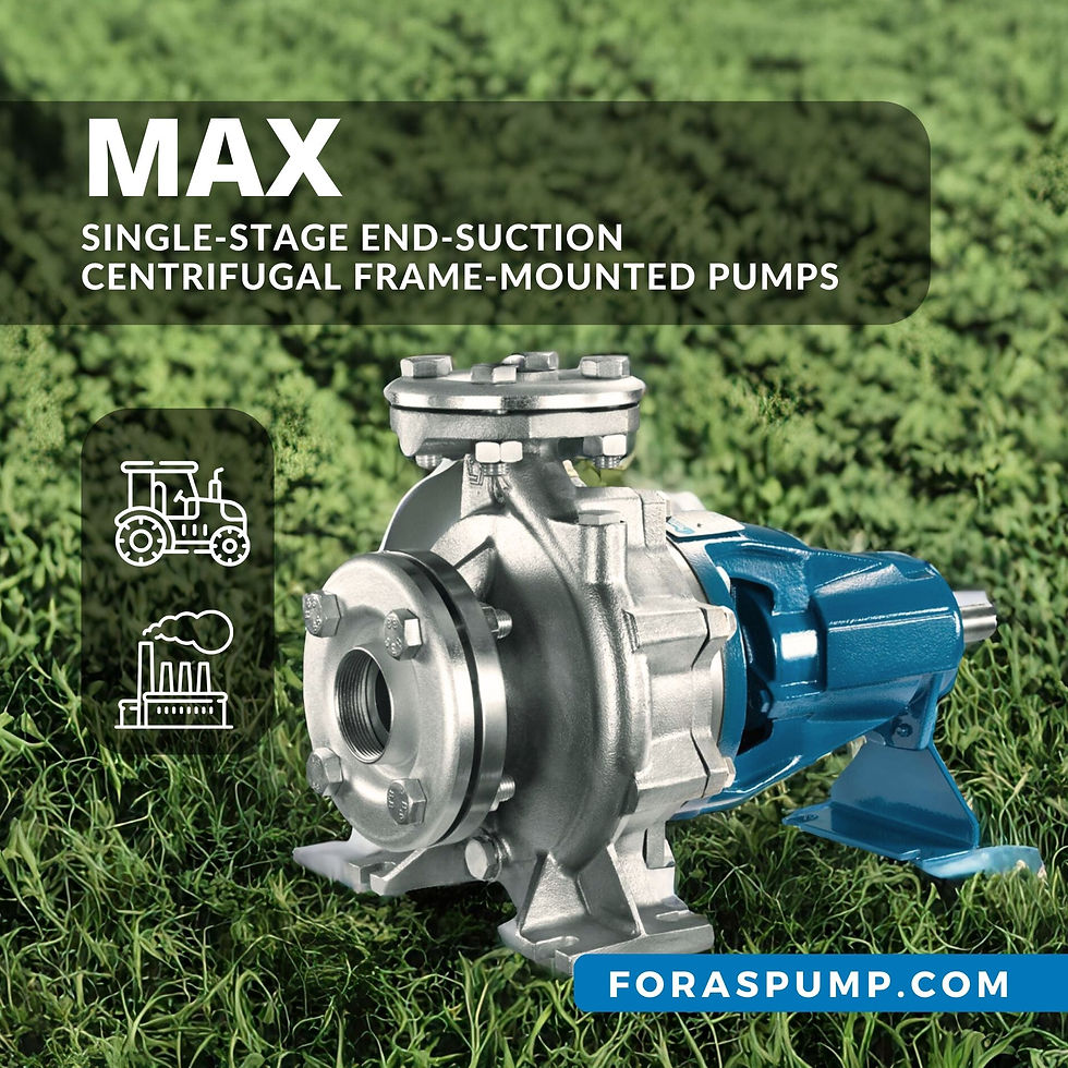 Miniaturbild: Foras Pumps MAX100-200A - Centrifugal Pump for fire-fighting system