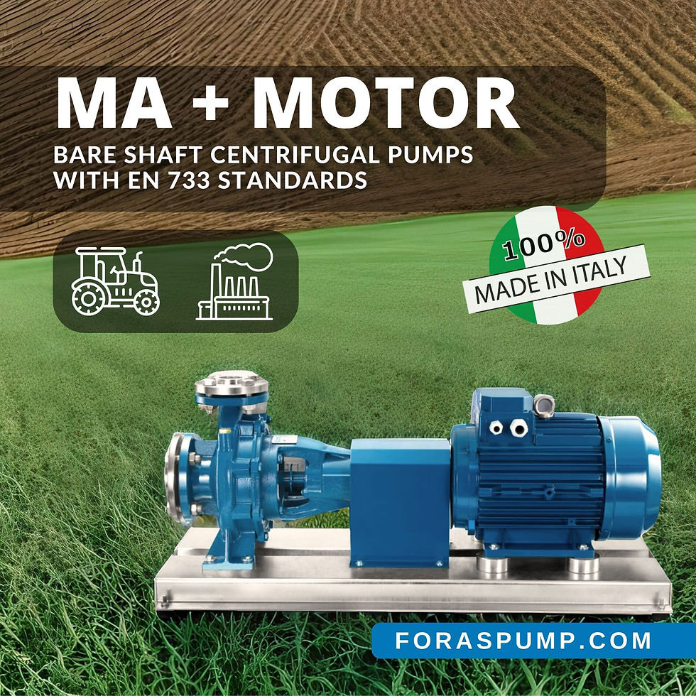 Foras Pumps MA40-125A+MOT100L - Centrifugal Water Pump (27.6 m 700 l/min)