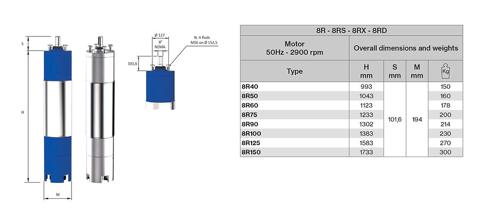 Thumbnail: 8R-P - Deepwell Borehole Motors with NEMA Coupling Flange and PE2+PA
