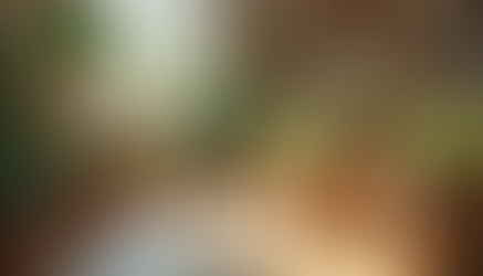 Unifying Branding Efforts with Integrated Marketing Campaigns