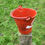 Thumbnail: Large Red Rustic Retro Iron Coke Cola Bucket