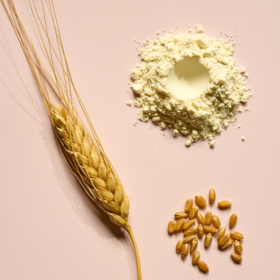 Thumbnail: Tipo 00 Pasta Wheat Flour