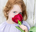 Rose Pose