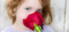 Free lesson plan and resources for the sense of smell: What's the Sense in that Behavior?