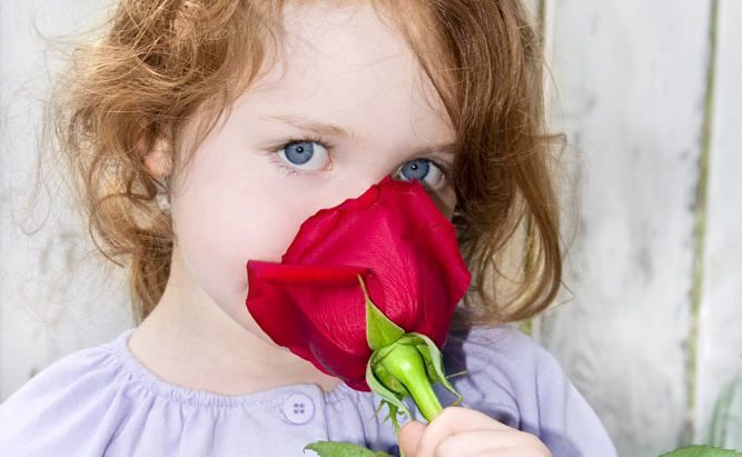 The Sacred Healing Frequency of Roses: Exploring Their Vibrational Properties and Healing Benefits