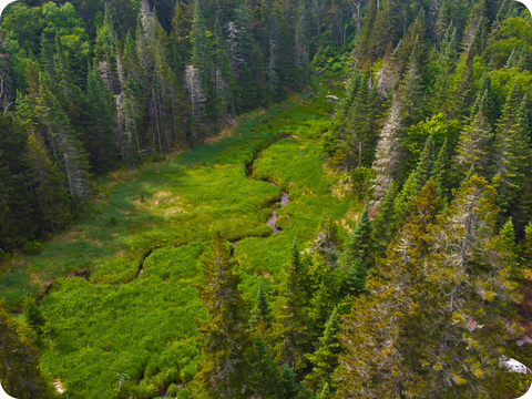 Chalets à louer en nature