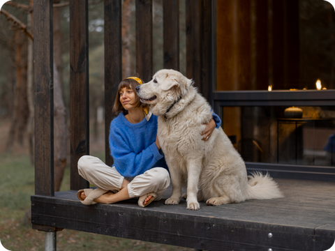 Chalets à louer où les animaux sont permis