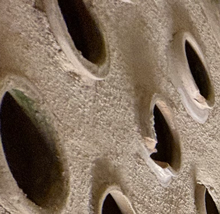 79d7d6f5-320a-45a7-8b2c-86e55be9012b.png