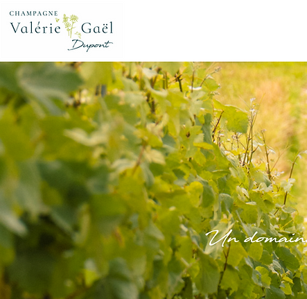 Champagne Valérie Gael DUPONT
