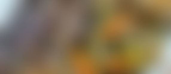 Ultimate Slow Cooker Pot Roast