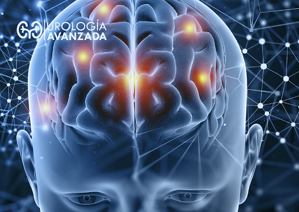 La Neuro urología causas y tratamiento Urologia Avanzada