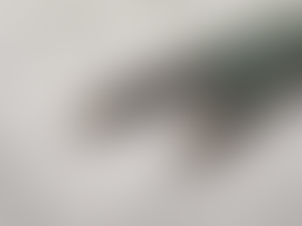 Crafting Compelling Resumes: A Client-Centered Approach