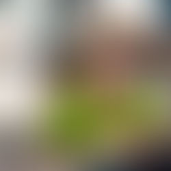 Part 2: Printing a Galley of Blessing from The Poor