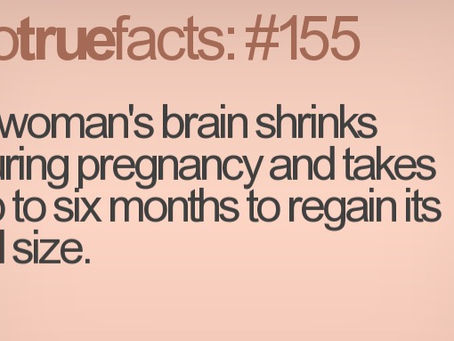 Motherhood = Brain Damage?