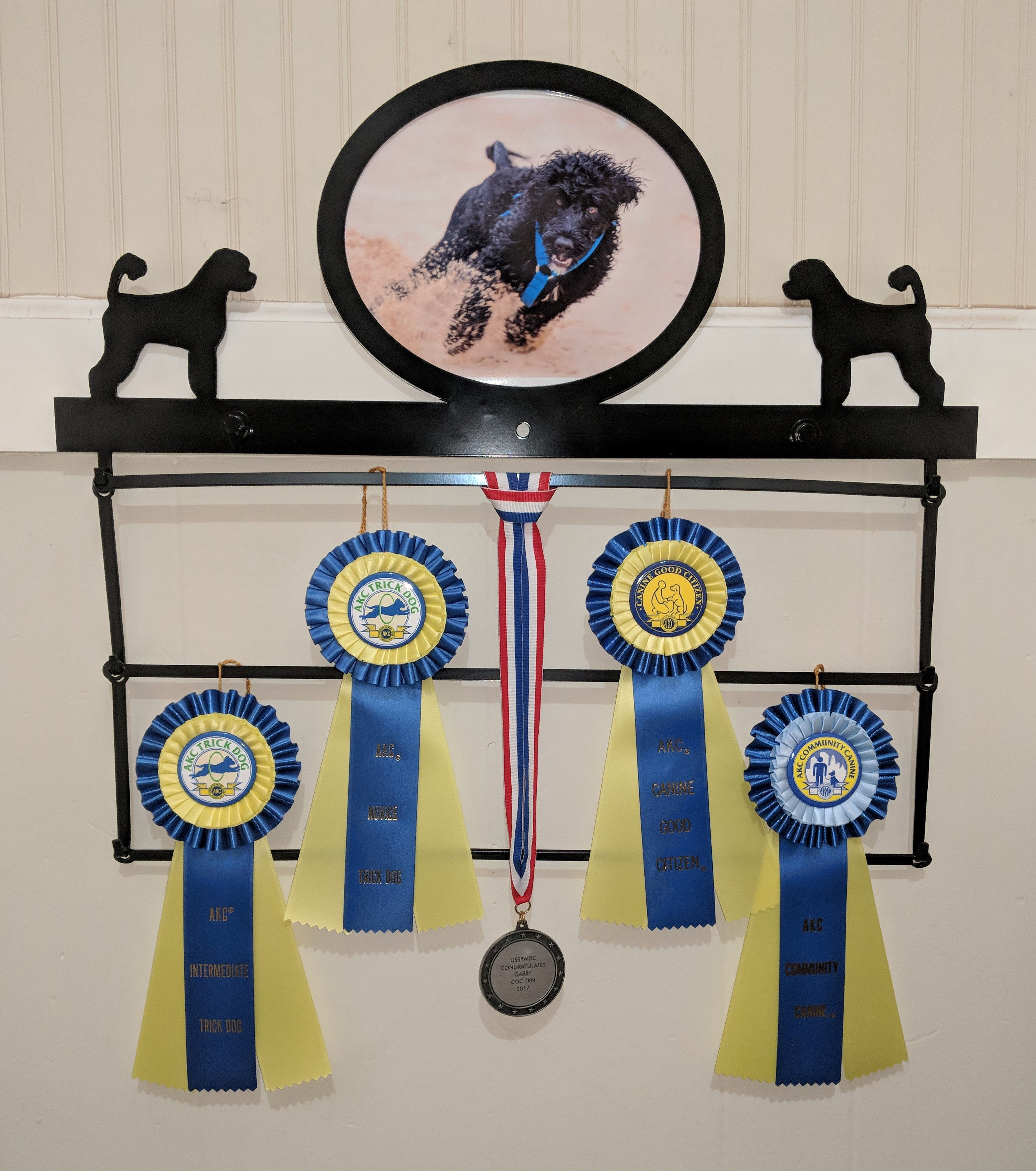 Customizable Picture-Award Rack (Expandable)
