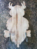 Clearance: Owl Coat Rack w/Hand Forged Hooks