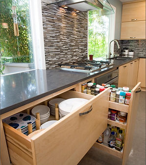 weelchair accessable kitchen cabinets and stovetop