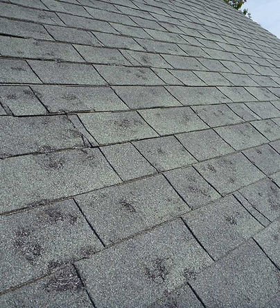 hail damaged roof