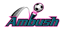 St. Louis Ambush Soccer
