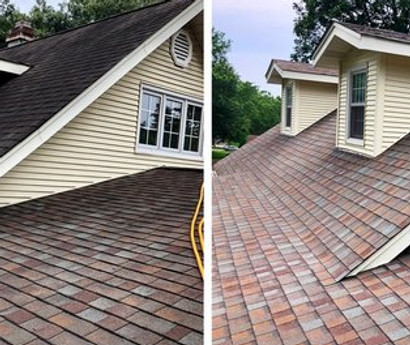 roof cleaning