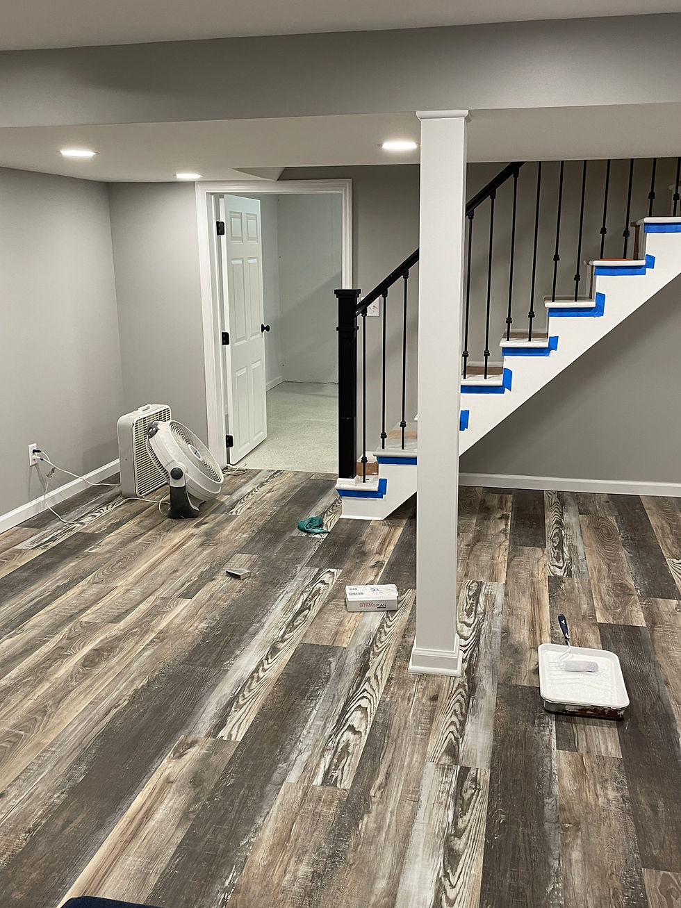 Basement remodel