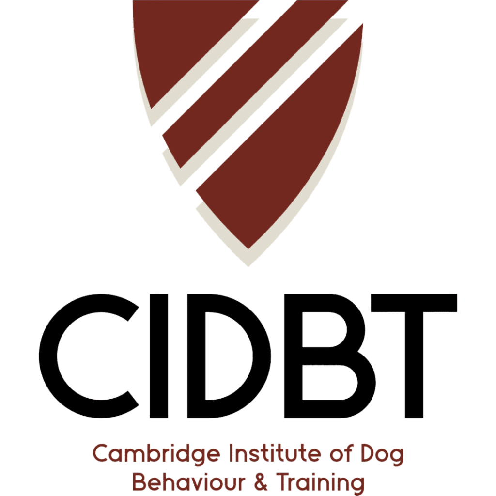 CIDBT Logo