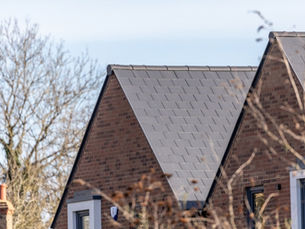 Side profile of two houses with black roofs and trees with no leaves in the background