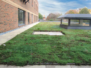 Image of a lawn with a building to the left of it and a grey extension to the right