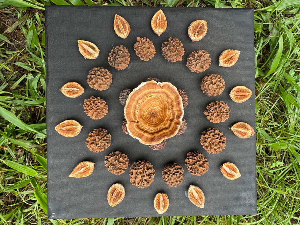 SURRENDER TO YOUR OWN NATURE II