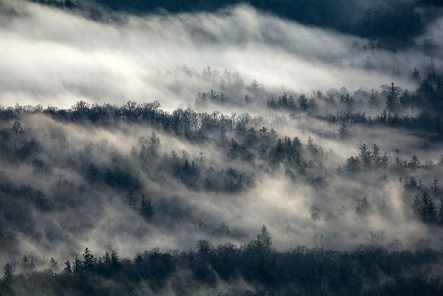 Tranquility Among the Blue Ridges